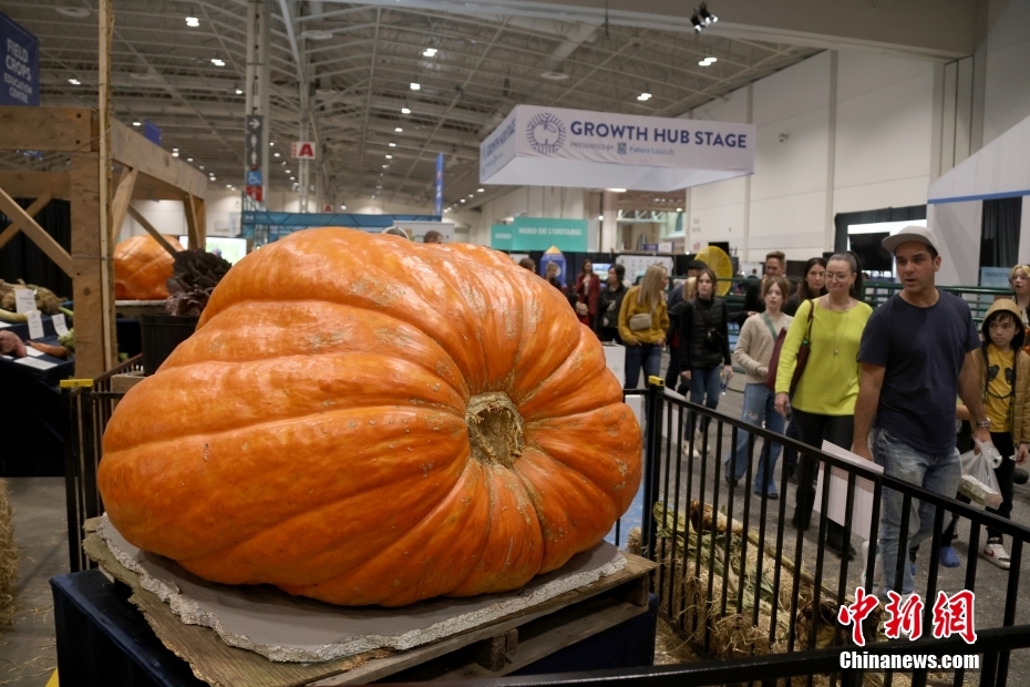 Canadá: Toronto realiza 101a Feira Agrícola Real de Inverno