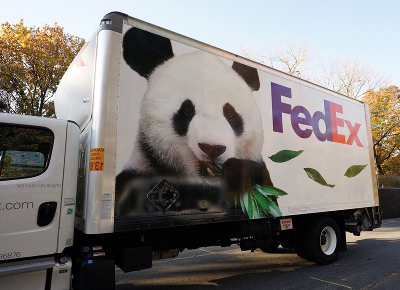 Pandas gigantes partem de zoológico nacional dos EUA rumo à China