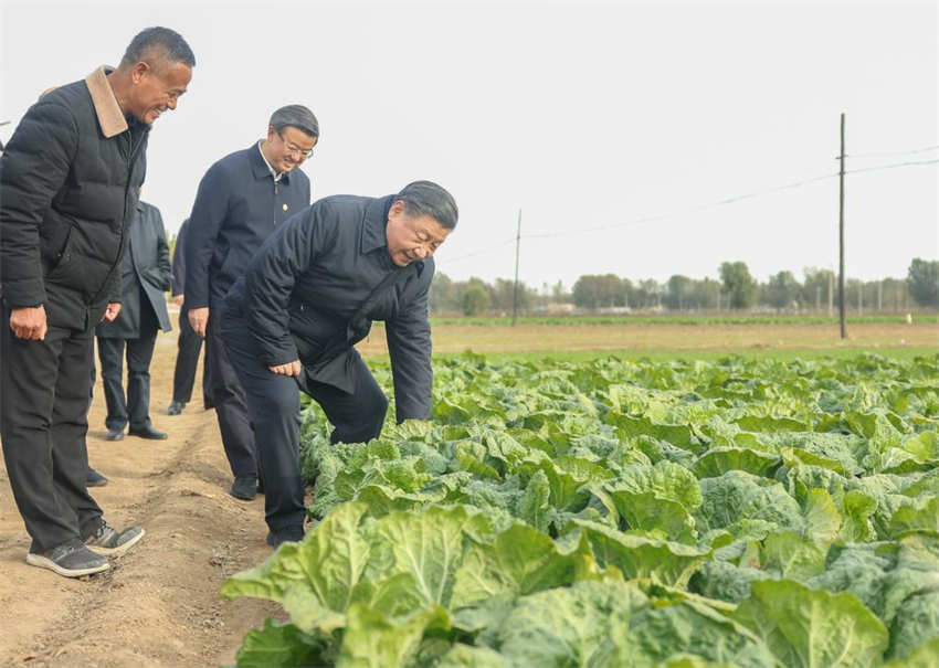 Xi Jinping inspeciona reconstru??o pós-inunda??o em Beijing e Hebei
