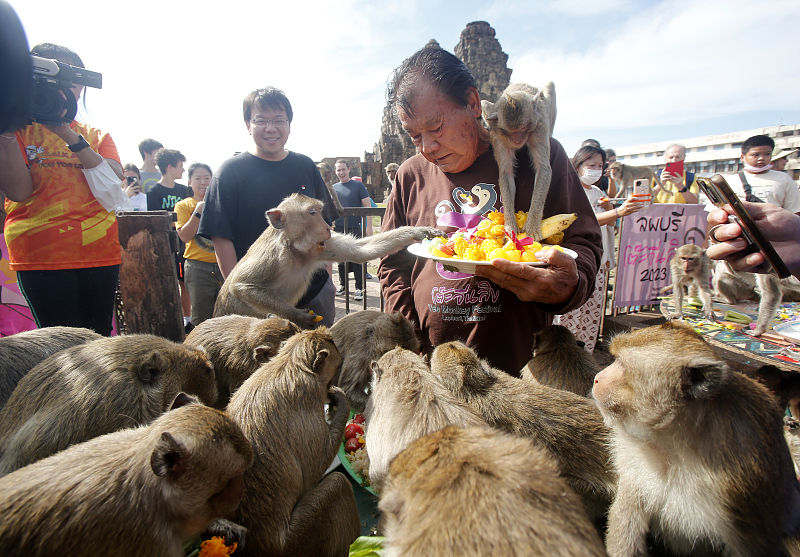 Tailandia: Lopburi realiza buffet anual dedicado aos macacos