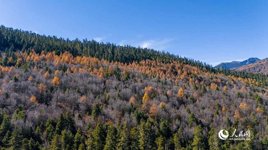 China: cenário pitoresco do início do inverno no Parque Nacional Shangri-La de Yunnan