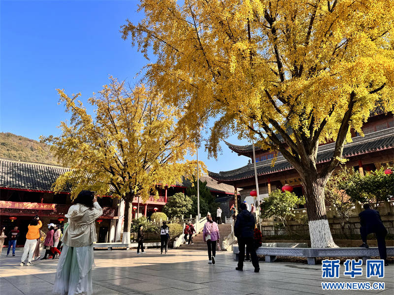 Nanjing: montanha Qixia inaugura época de aprecia??o de folhas de ácer