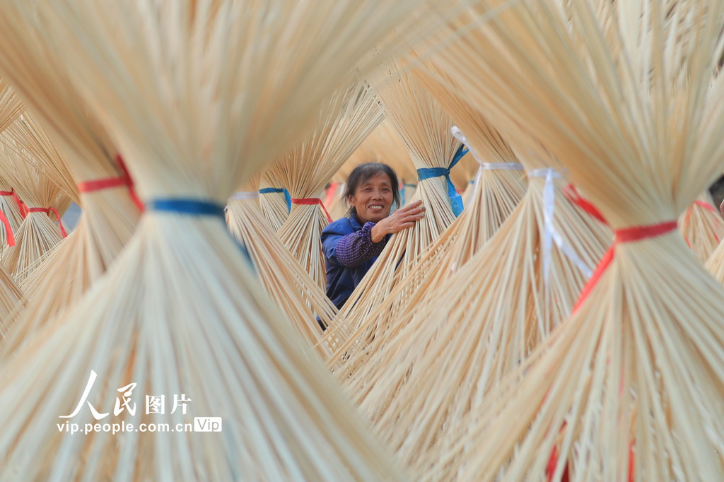 Jiangxi: indústria de processamento de bambu contribui para revitaliza??o rural