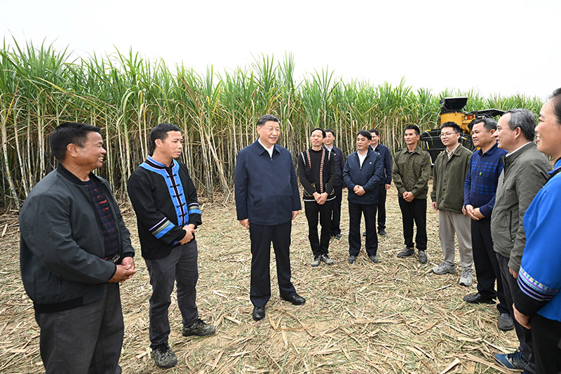 Xi Jinping pede que Guangxi escreva seu capítulo na moderniza??o chinesa