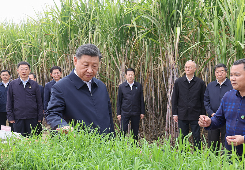 Xi Jinping pede que Guangxi escreva seu capítulo na moderniza??o chinesa