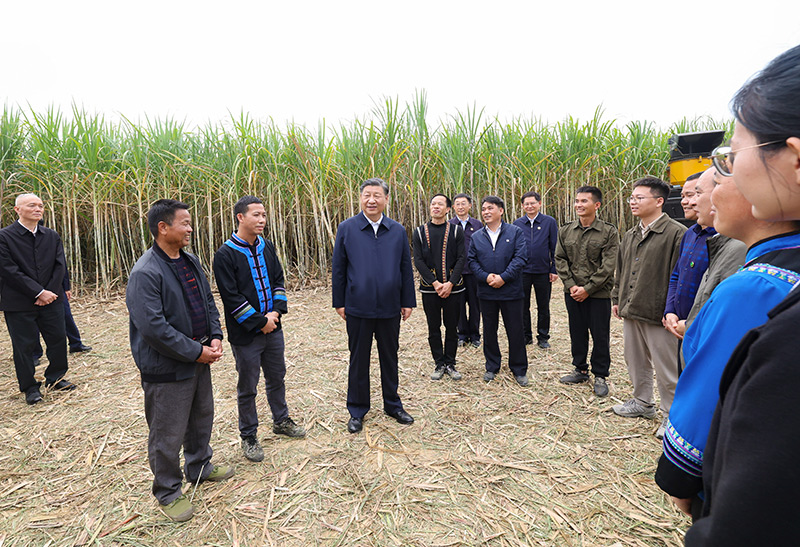 Xi Jinping pede que Guangxi escreva seu capítulo na moderniza??o chinesa