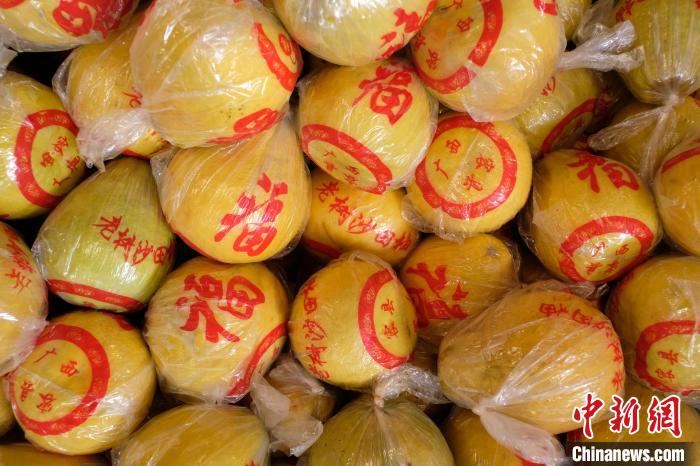 Pomelo Shatian em Guangxi entra no mercado