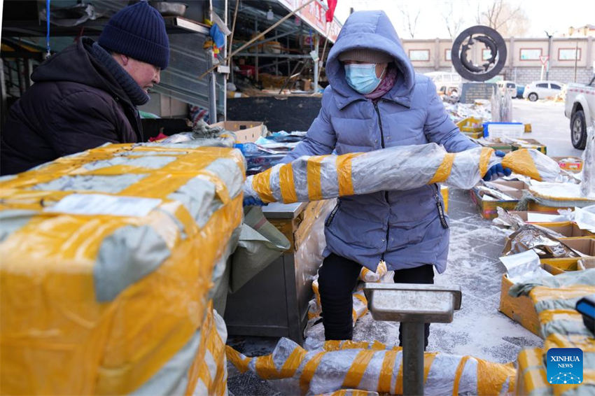 Mercado de peixe entra na temporada de pico de vendas em Fuyuan, noroeste da China