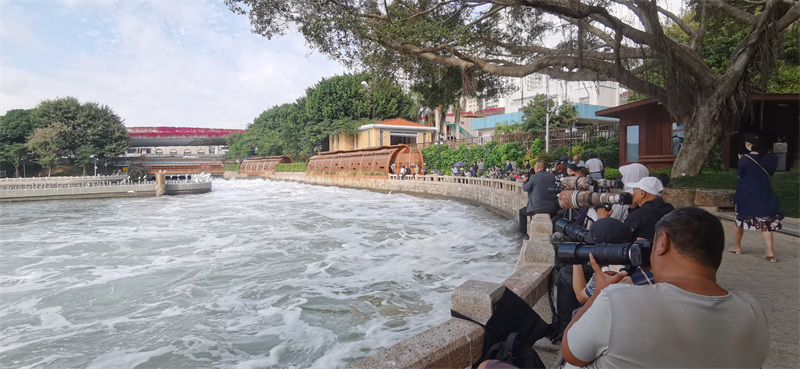 Xiamen: gar?as-brancas voam no Lago Yundang