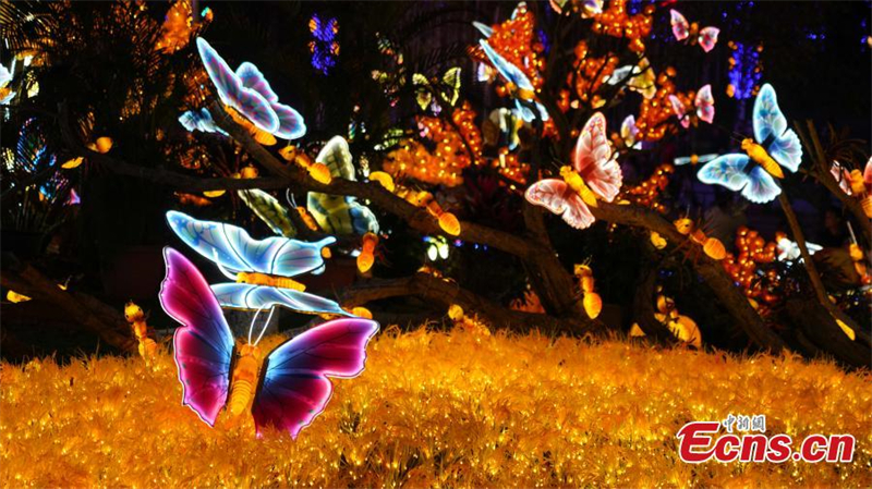 'Mundo misterioso' iluminado no sul da China