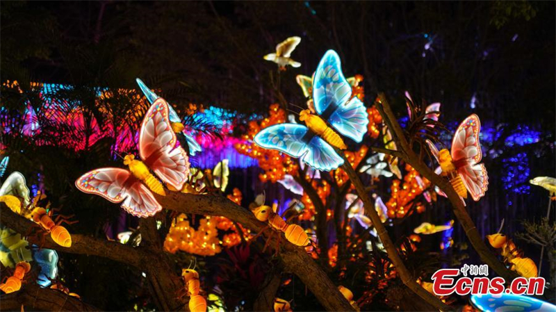 'Mundo misterioso' iluminado no sul da China