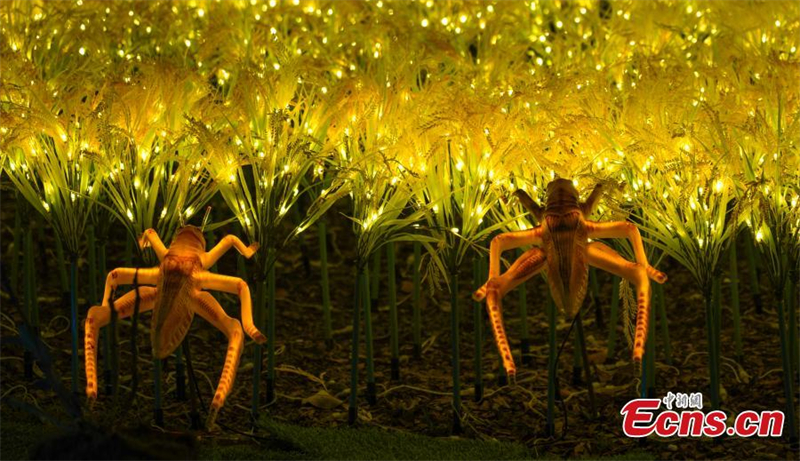 'Mundo misterioso' iluminado no sul da China