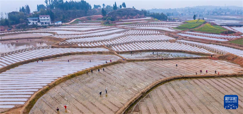 China inicia temporada da lavoura da primavera