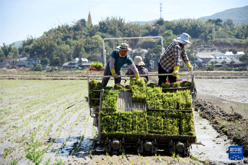 China inicia temporada da lavoura da primavera