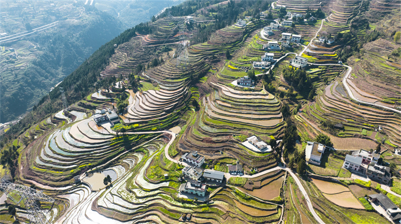 Agricultores de Gulin est?o ocupados com plantio da primavera, no sudoeste da China