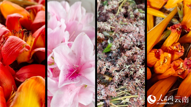 Galeria: chegada da primavera desperta criatividade gastron?mica em Yunnan