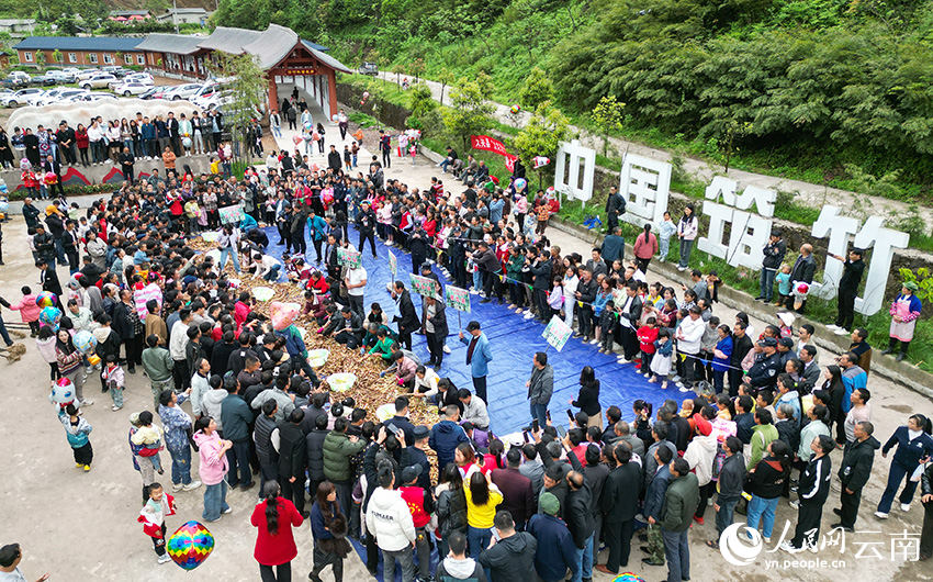 Competi??o de descascamento de brotos de bambu celebra a colheita em Yunnan