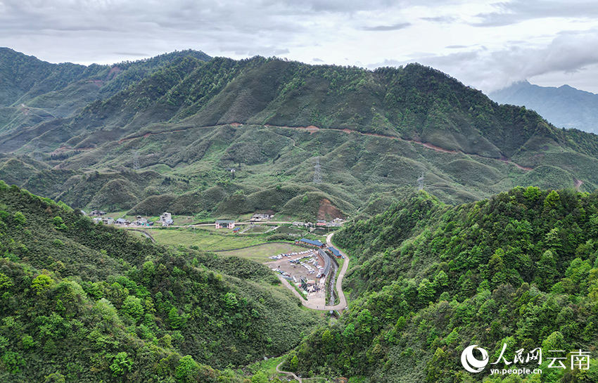 Competi??o de descascamento de brotos de bambu celebra a colheita em Yunnan