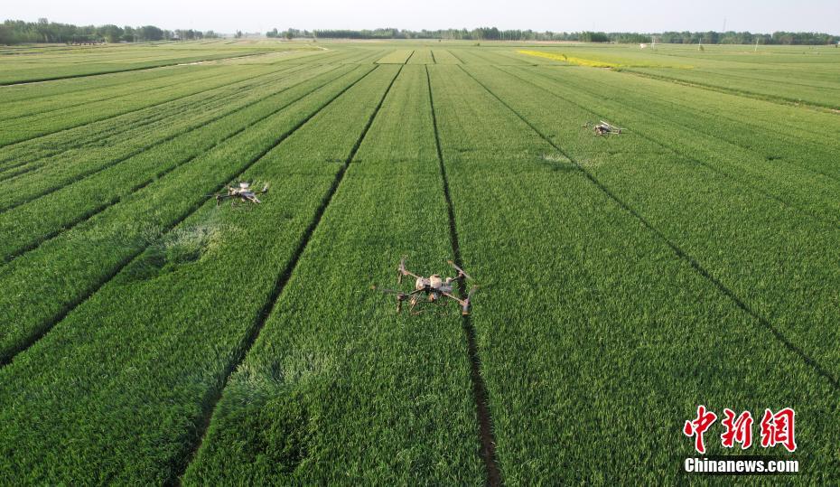 Hebei usa tecnologia de ponta para auxiliar nas opera??es agrícolas de campo