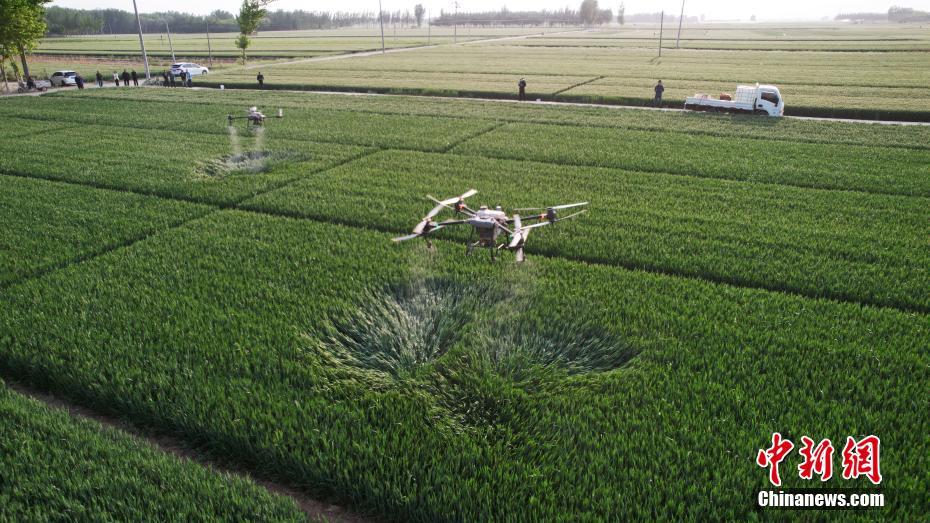 Hebei usa tecnologia de ponta para auxiliar nas opera??es agrícolas de campo