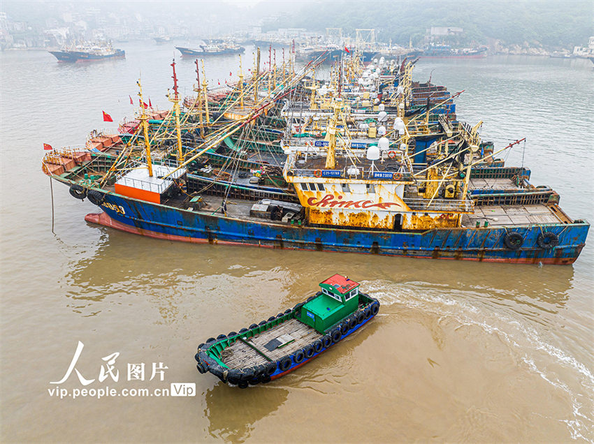 Proibi??o de pesca marítima será iniciada em Zhejiang, leste da China