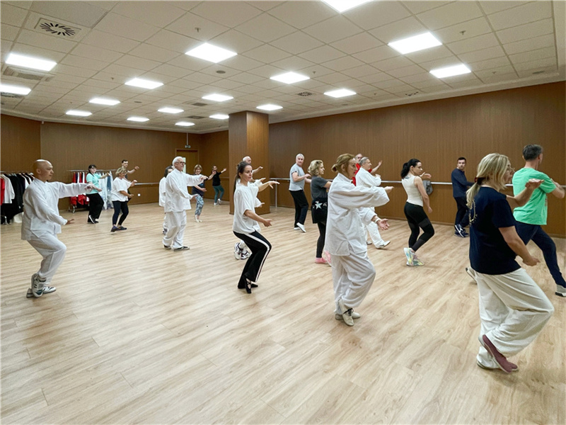 Galeria: cursos do Centro Cultural Chinês em Belgrado populares entre a popula??o local
