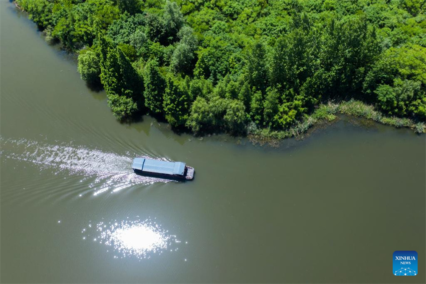 Parque nacional de zonas úmidas de Zhejiang realiza esfor?os para melhorar ambiente ecológico