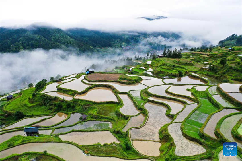 Vista aérea do terra?o em Guizhou, no sudoeste da China