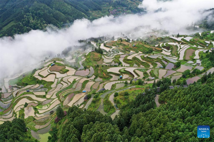 Vista aérea do terra?o em Guizhou, no sudoeste da China