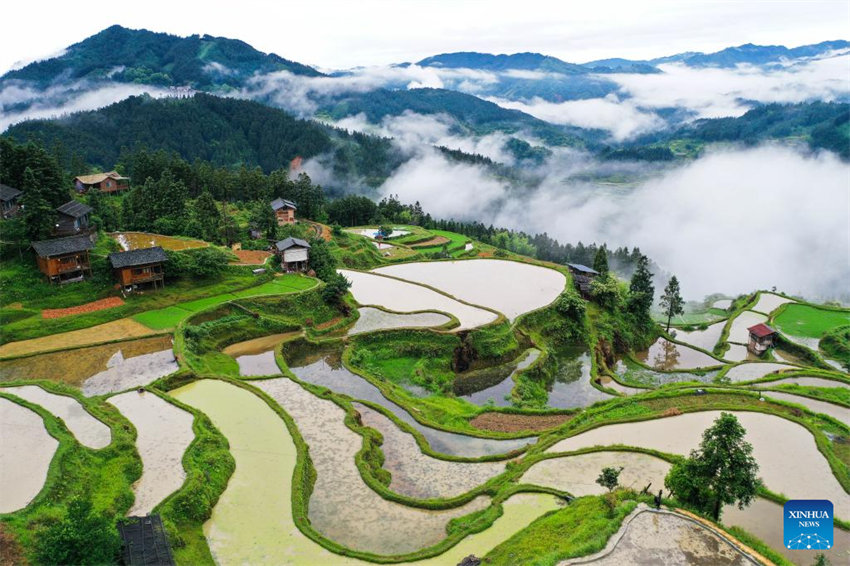 Vista aérea do terra?o em Guizhou, no sudoeste da China