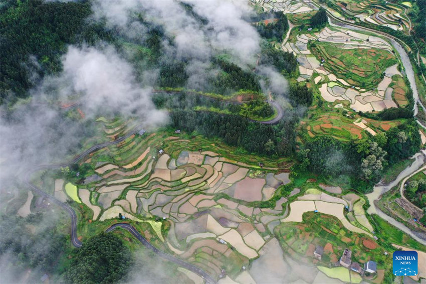 Vista aérea do terra?o em Guizhou, no sudoeste da China