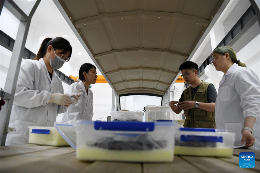 Escava??o arqueológica na tumba de Wuwangdun em Anhui produz descobertas importantes