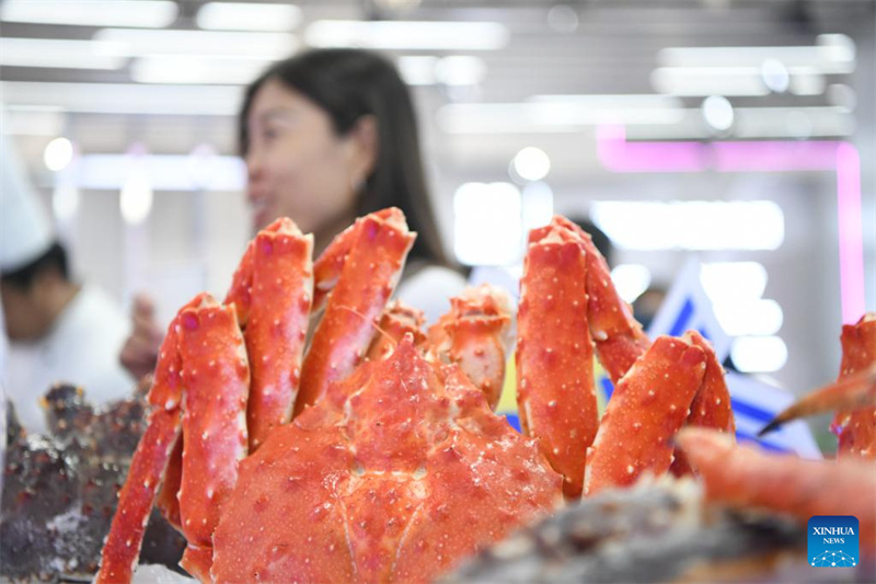 Destaques da 8a Expo China-Rússia