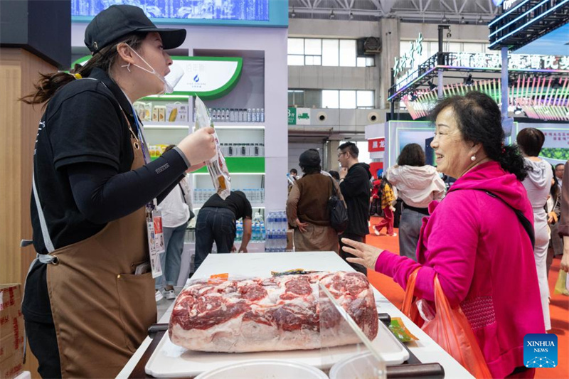Destaques da 8a Expo China-Rússia
