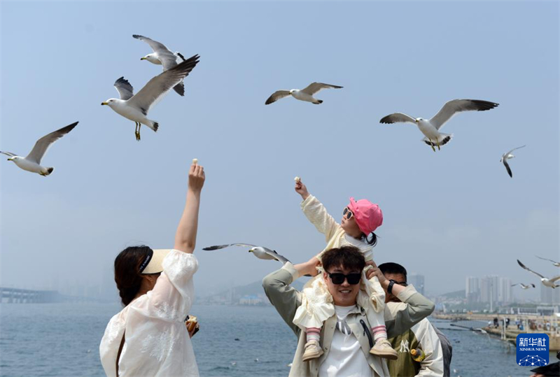 Início do ver?o traz alta temporada turística para Dalian, cidade no nordeste da China