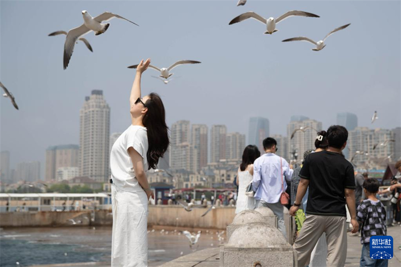 Início do ver?o traz alta temporada turística para Dalian, cidade no nordeste da China