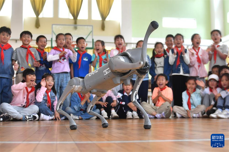 China realiza atividades infantis em todo o país para celebrar Dia Internacional da Crian?a