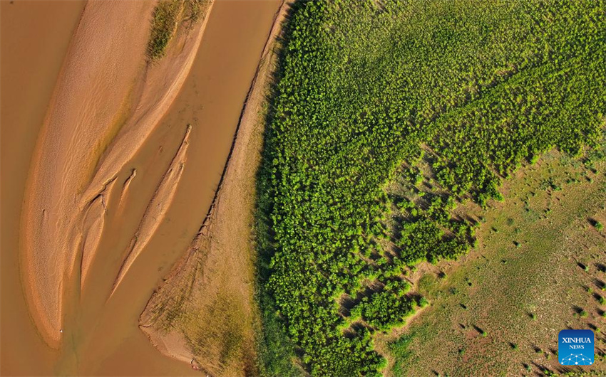 Galeria: cenário do rio Amarelo em Yinchuan