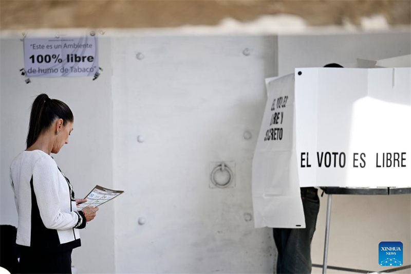 Claudia Sheinbaum declara vitória nas elei??es presidenciais do México
