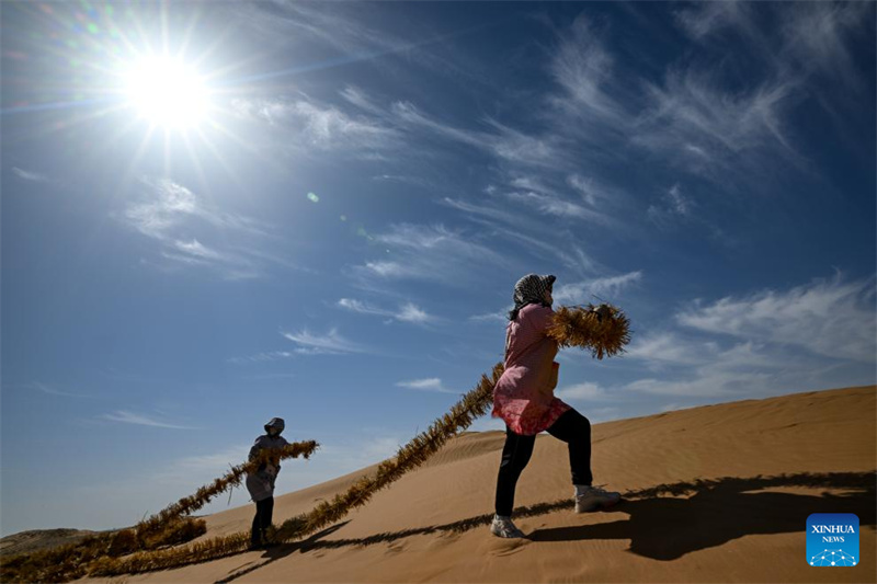 Ferramentas e tecnologias inovadoras contribuem para o controle de areia no noroeste da China