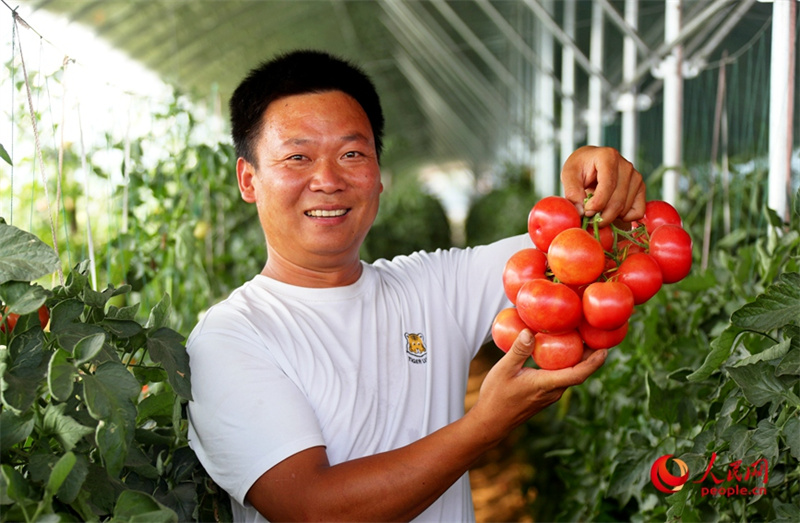 Investir em Henan: agricultura possibilita gera??o de riqueza para popula??o geral