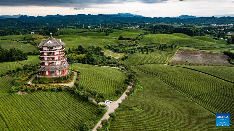 Rede de estradas rurais em Guizhou melhora significativamente na última década