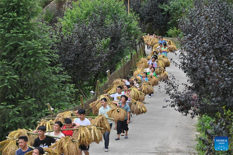 Aldeia do grupo étnico Miao na China promove revitaliza??o rural para maior desenvolvimento