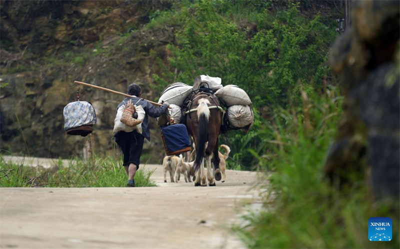Aldeia do grupo étnico Miao na China promove revitaliza??o rural para maior desenvolvimento