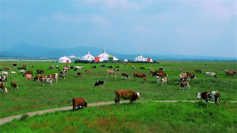 Hohhot, famosa cidade histórica na Rota do Chá