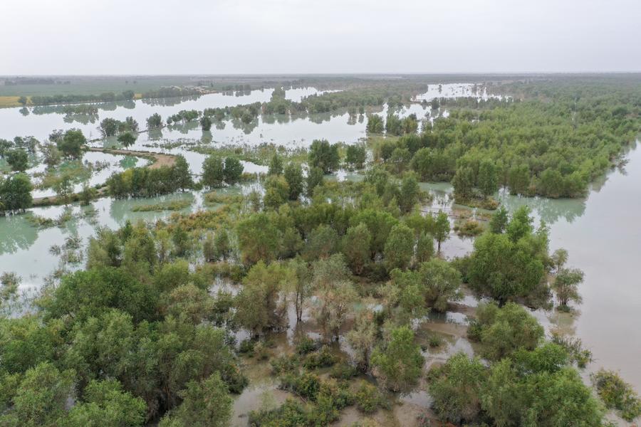 Xinjiang toma medidas de controle de inunda??es do rio Tarim