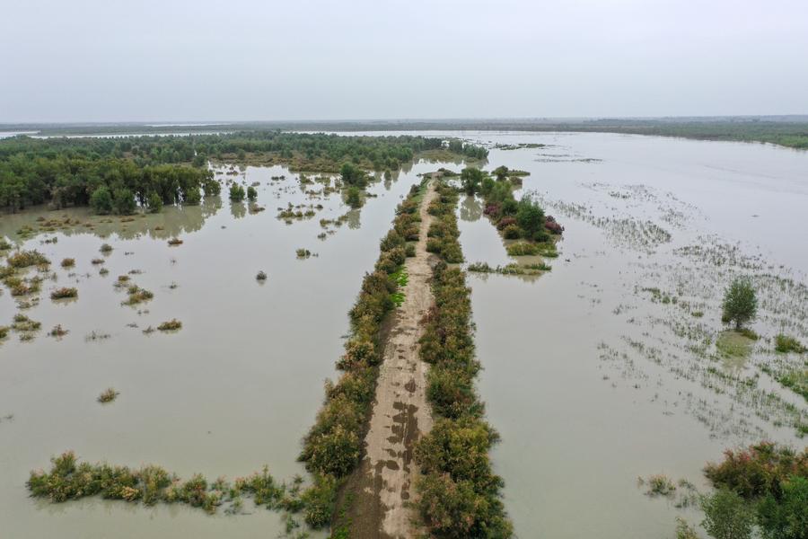 Xinjiang toma medidas de controle de inunda??es do rio Tarim