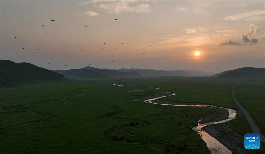 Uma olhada da barreira de seguran?a ecológica no norte da China