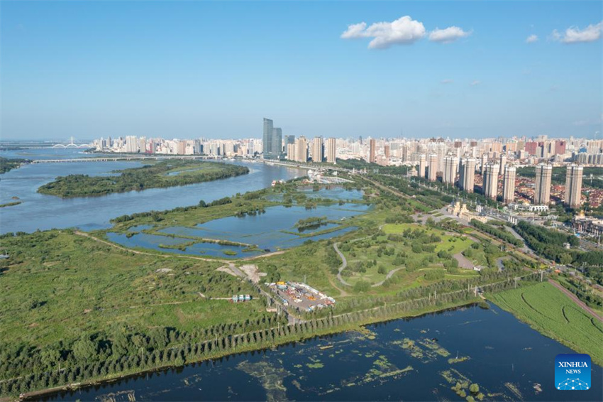 Uma olhada da barreira de seguran?a ecológica no norte da China