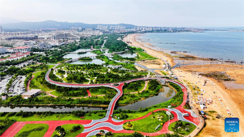 Shandong vê progresso na restaura??o ecológica marítima